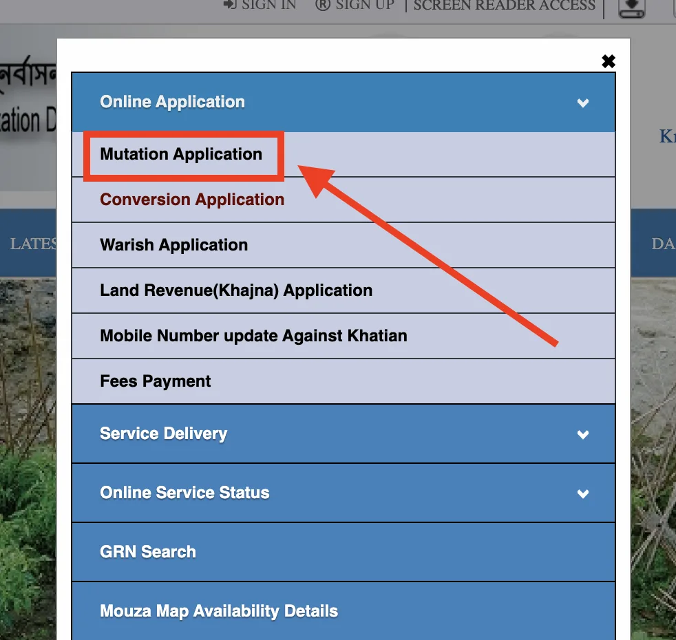 Online Mutation Application